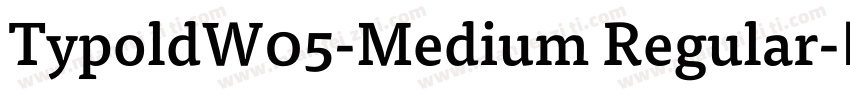 TypoldW05-Medium Regular字体转换